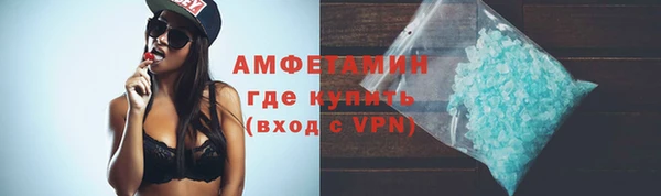 прущие грибы Снежинск
