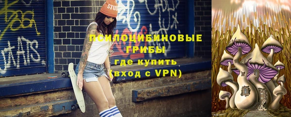 твердый Снежногорск